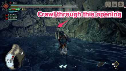 MH Rise - Frost Islands 7 Location 2