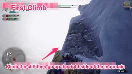 MH Rise - Frost Islands 9 Location 3