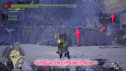 MH Rise - Frost Islands 9 Location 2