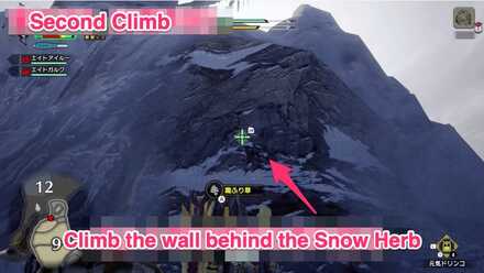 MH Rise - Frost Islands 9 Location 4