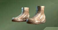 Tarnished Boots