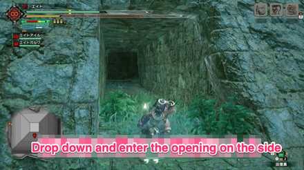 MH Rise - Flooded Forest 3 Location 2