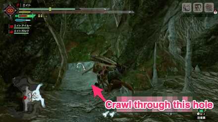 MH Rise - Flooded Forest 5 Location 2