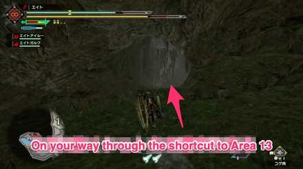 MH Rise - Flooded Forest 9 Location 3