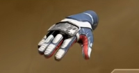 Gloves of the Edge of TIme
