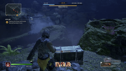 Outriders - Asylum Chest 2