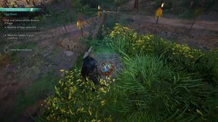 Find and Collect the Eggs.jpg