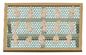 The Squid version of Fish-Drying Rack