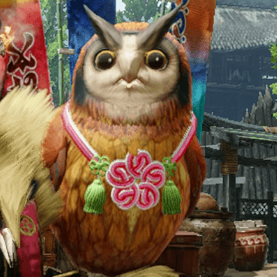 Cohoot Garb of Glad Tidings