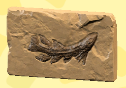 Eusthenopteron Image