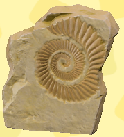 Shark-Tooth Pattern Image