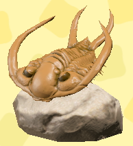 ACNH - Trilobite Fossil image