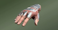 Gloves of the Vanguard