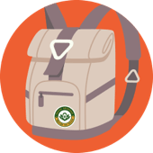 New Pokemon Snap Your Bag Image