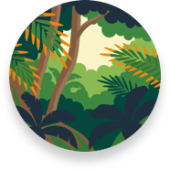 New Pokemon Snap Jungle Image