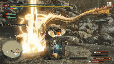 MH Rise - Focus on Narwa