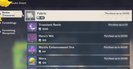 Genshin - What to buy with Realm Currency