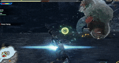 MH Rise - Goss Harag