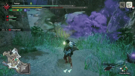 MH Rise - Pukei-Pukei Tail Poison