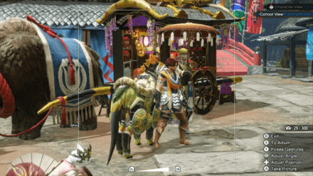 MH Rise Sunbreak - Cohoot View