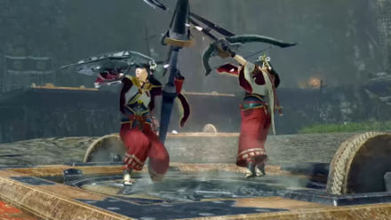 Limited Installation.png