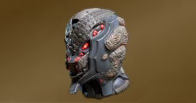 Helmet of the Acari
