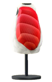 Tuna-Sushi Costume Image