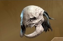 Cranium of a Lost Creature