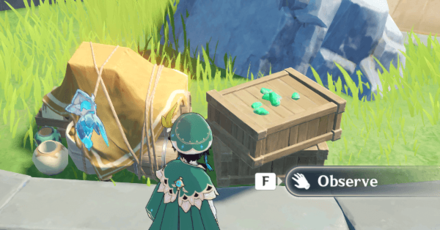 Genshin - Look for the Debris