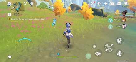 Genshin Impact - Amidst Chaos the Rock is Unmoved - Ancient Tree