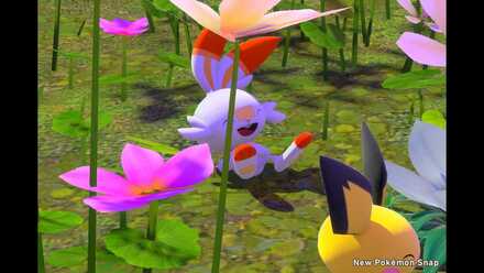 Three Friends among Flowers