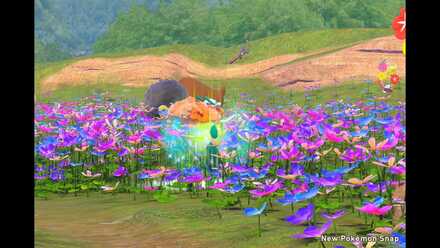 Livening Up the Flowers