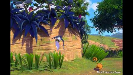 Off to a Flying Startle