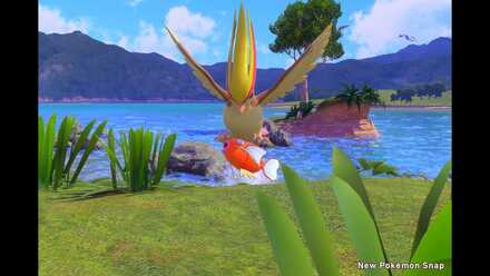 Flopping by the Water