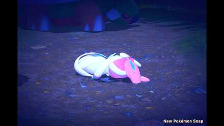 Asleep on a Calm Night