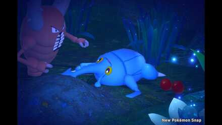 Where It Snacks and Snoozes