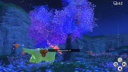 New Pokemon Snap - Meganium