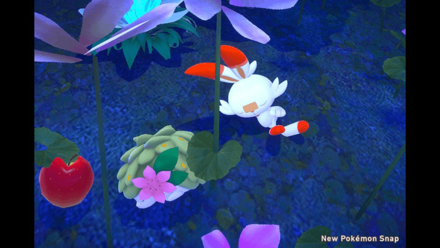New Pokemon Snap - Shaymin Location