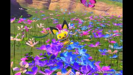 Hide-and-Seek in the Flowers