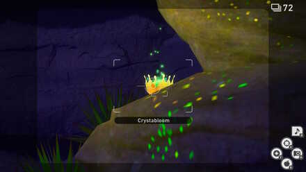 Sweltering Sands crystabloom.jpg