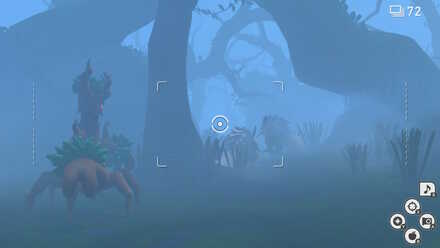 Elsewhere Forest.jpg