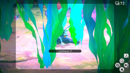 Lental Seafloor crystabloom.jpg