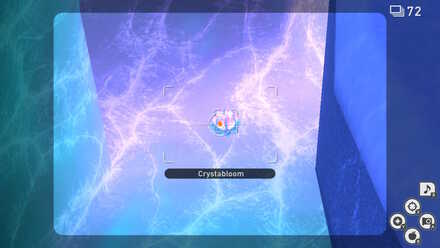 Shiver Snowfields crystabloom.jpg