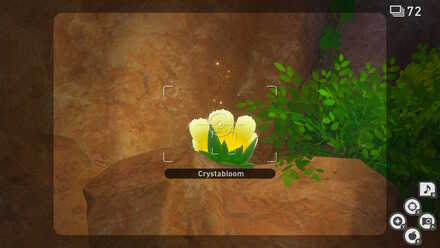 Ruins crystabloom.jpg