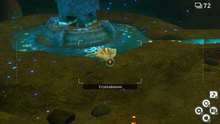 First cystalbloom.jpg