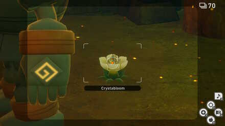 Fifth crystabloom.jpg