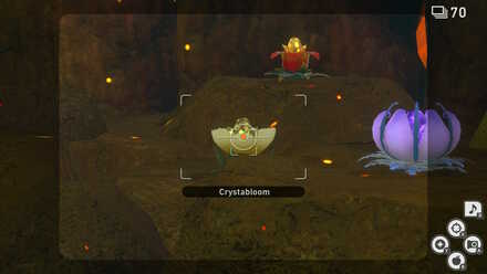 Last crystabloom.jpg