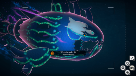 New Pokemon Snap - Illumina Wishiwashi