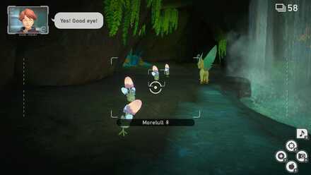 New Pokemon Snap Morelull Tonights Dinner.jpg