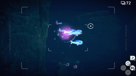 New Pokemon Snap - Wishiwashi Finneon